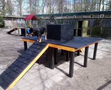 Dordrecht, platform en kubus